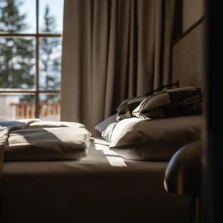 Aparthotel Bergmaehder - Alpine 4*